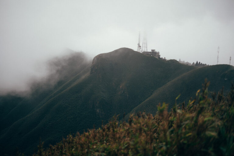 DSC_7980